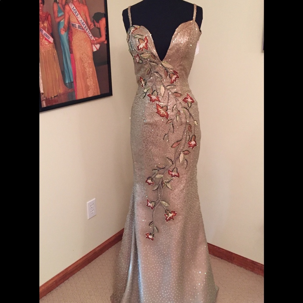 Gala or Pageant or Evening Gown